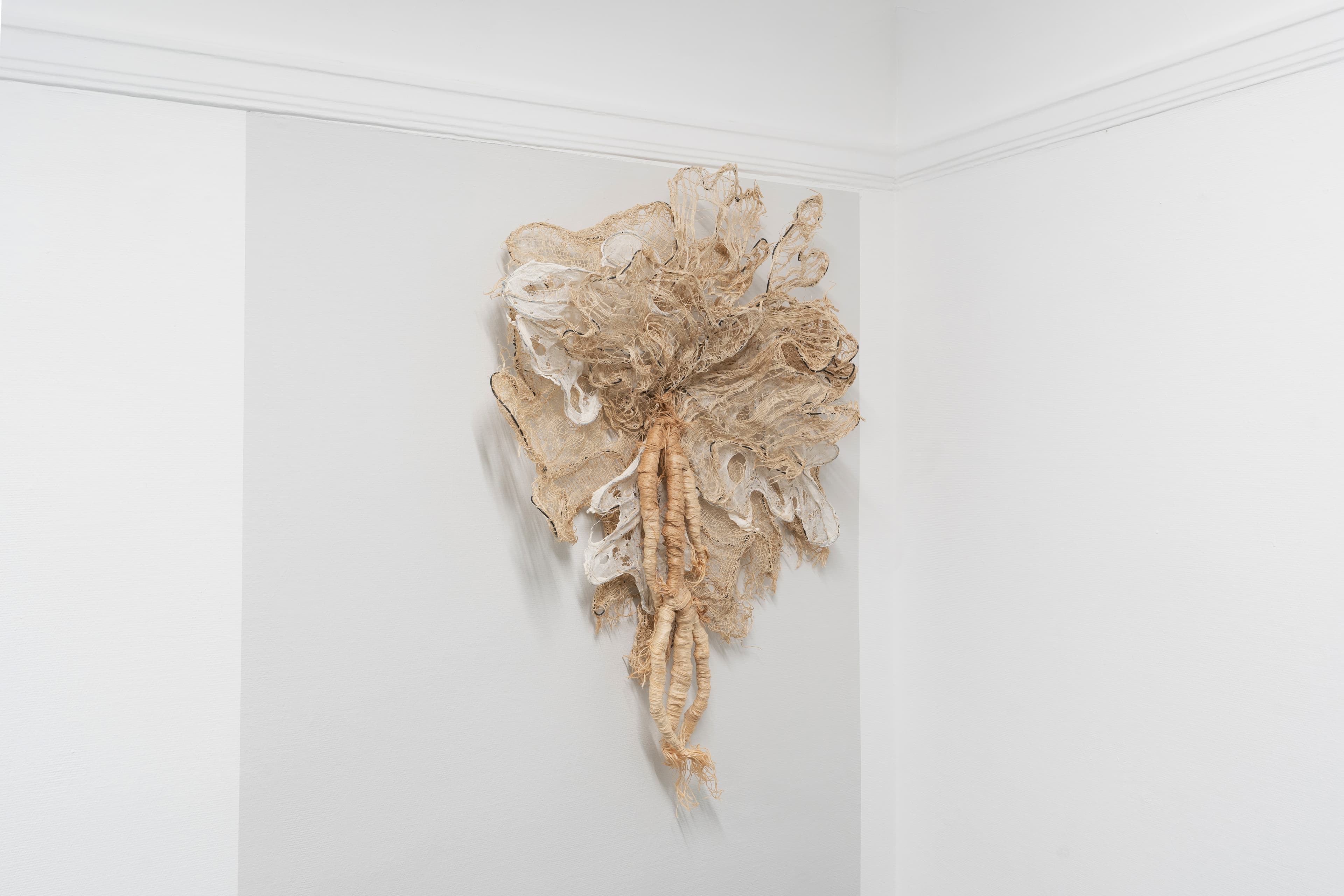 Installation View 7