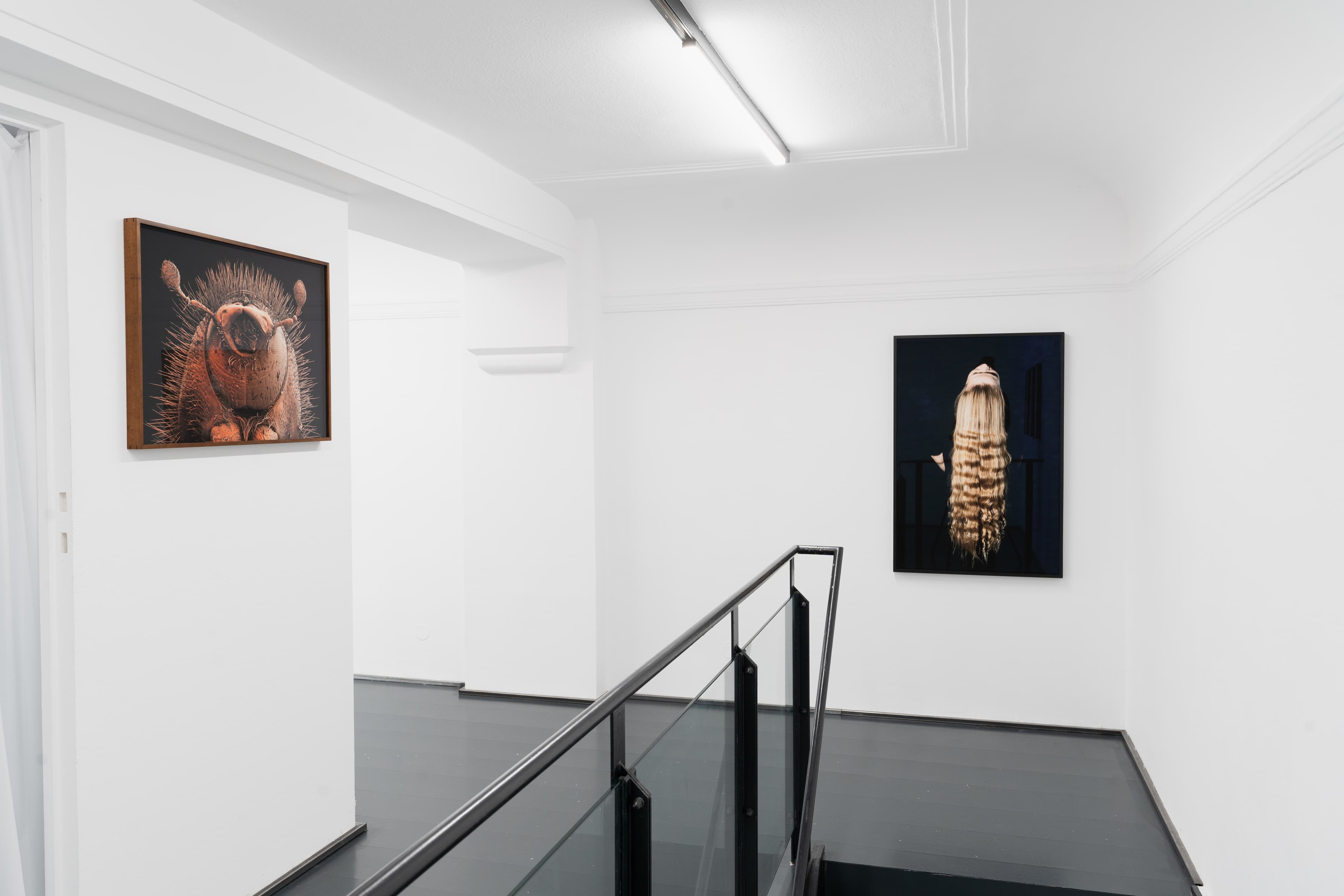 Installation View 7