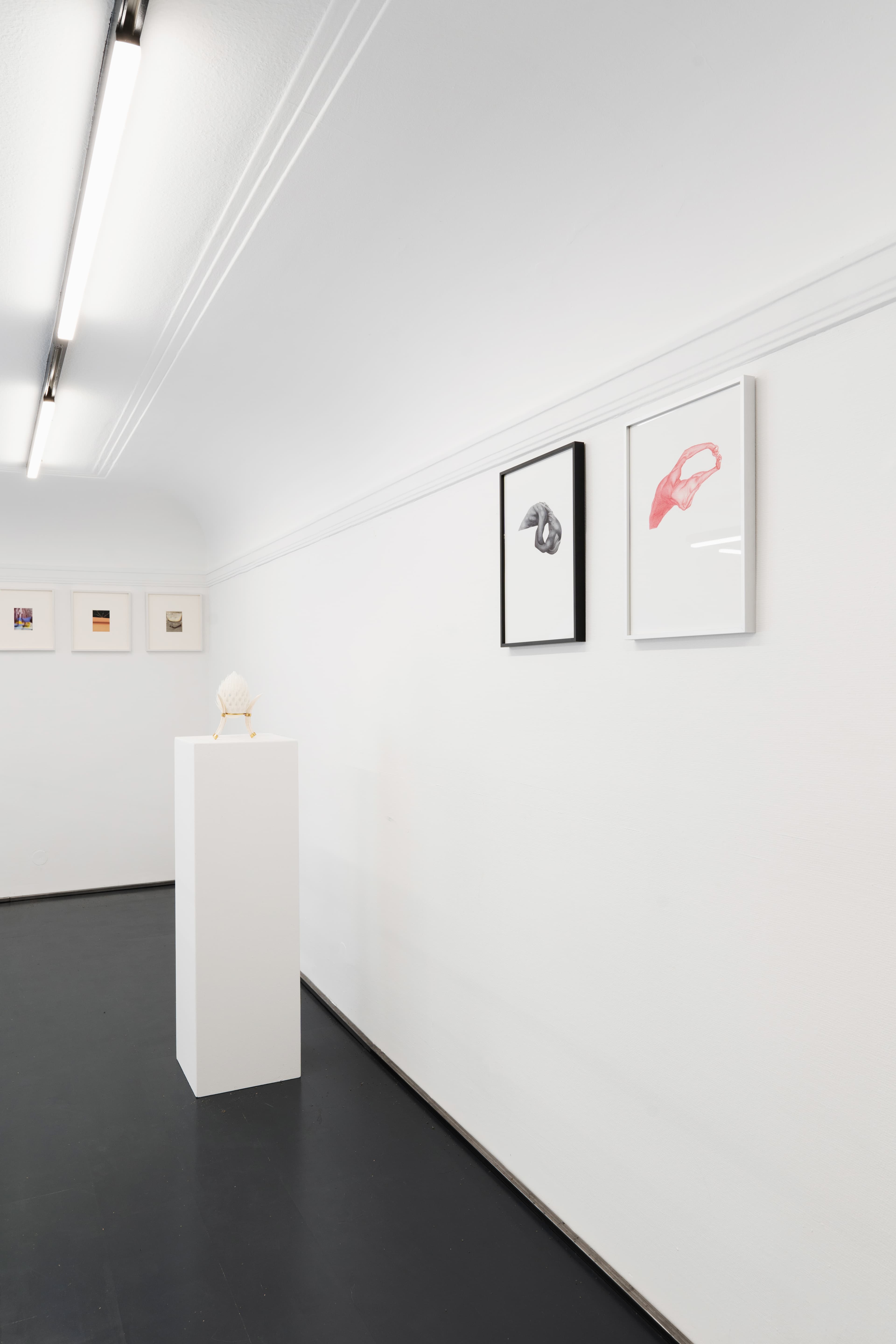 Installation View 14